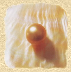 Goldfarbene Südsee-Perle